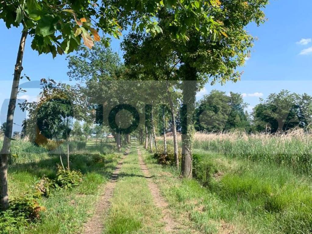 TERRENO PARCO DEL TICINO