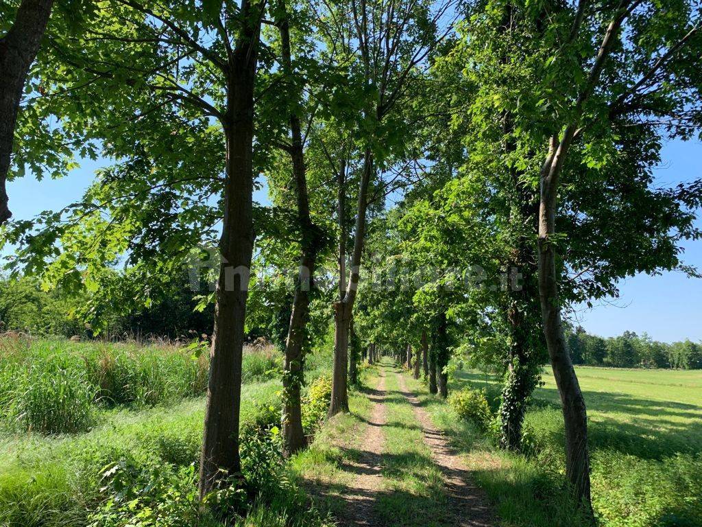 TERRENO PARCO DEL TICINO