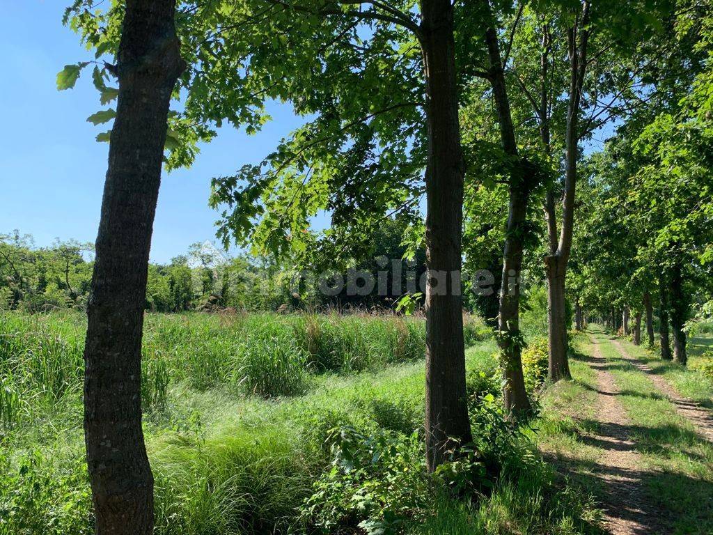 TERRENO PARCO DEL TICINO