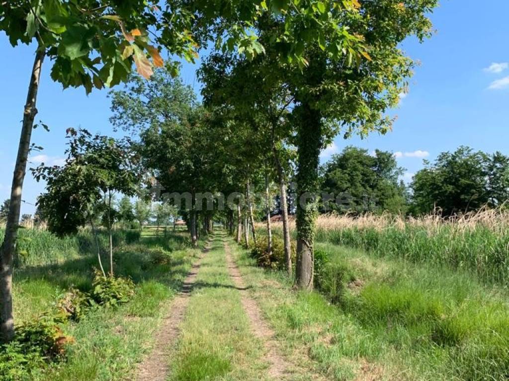 TERRENO PARCO DEL TICINO