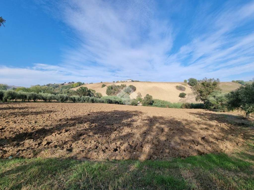 Terreno agricolo