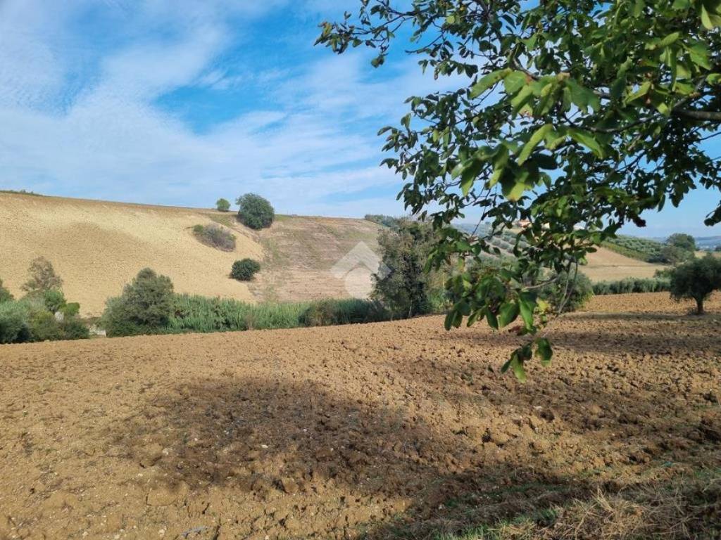 Terreno agricolo