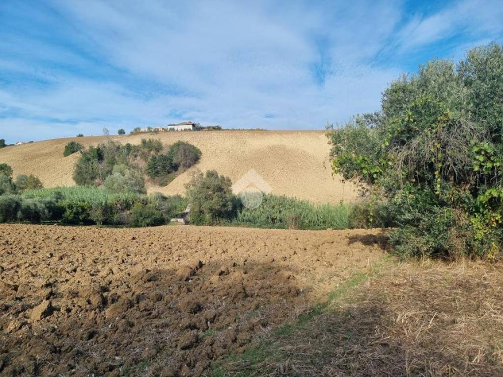 Terreno agricolo