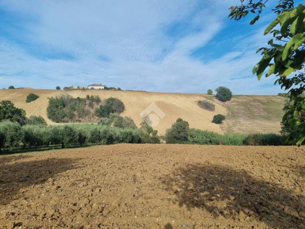 Terreno agricolo