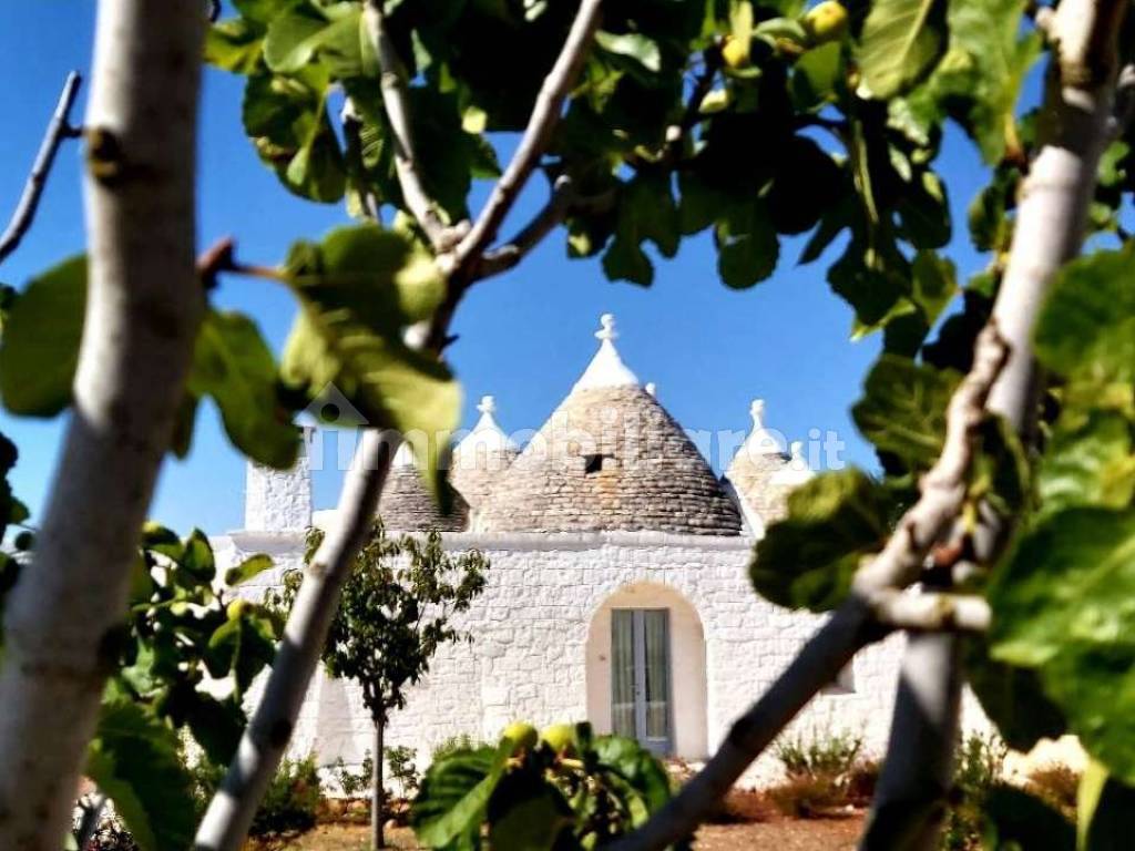 vista trulli