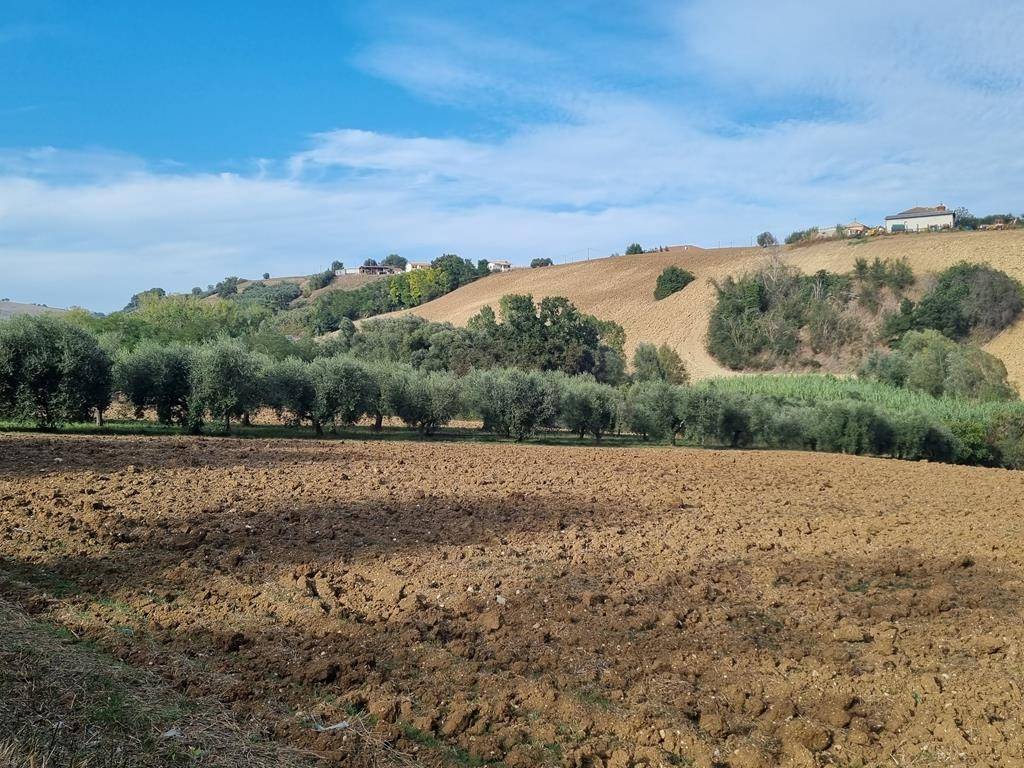 Terreno agricolo