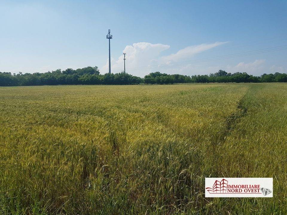 vendita-terreno-agricolo-milano-rif-terreno-ossona-terreno-cbc5genx.jpg