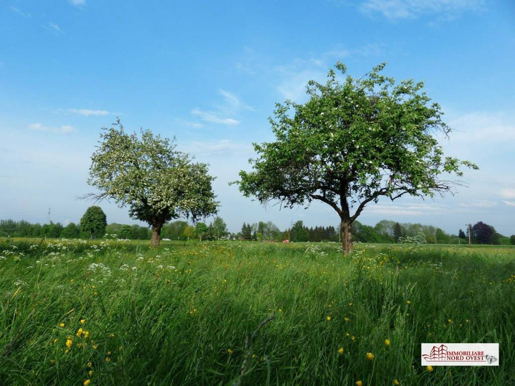 vendita-terreno-agricolo-milano-rif-terreno-ossona-terreno-ttp1lmed.jpg