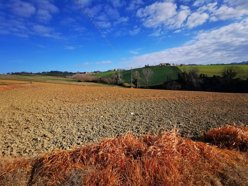 Terreno agricolo, casenuove, osimo