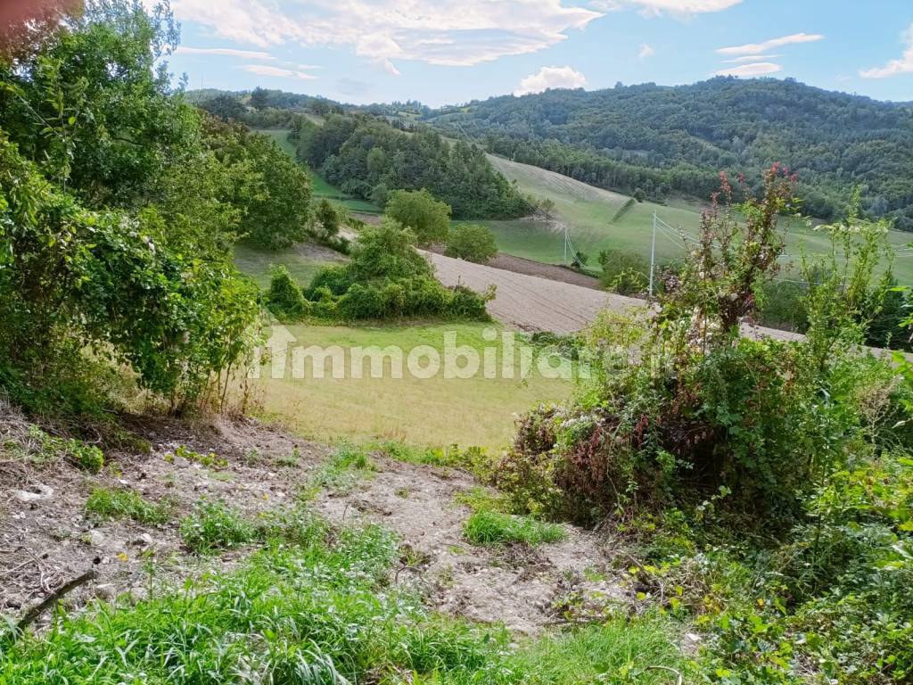 vista del terreno