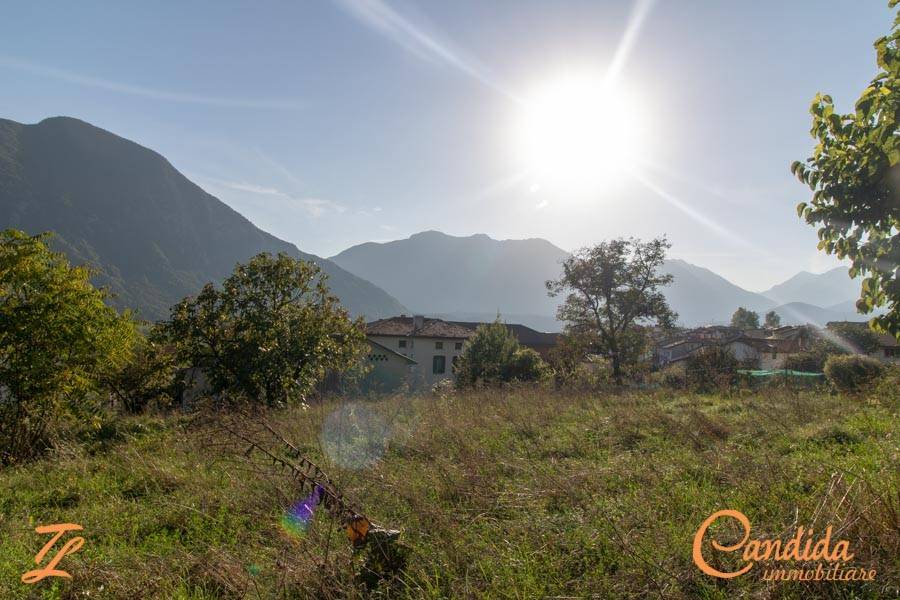 Terreno edificabile via città di alba 4, amaro