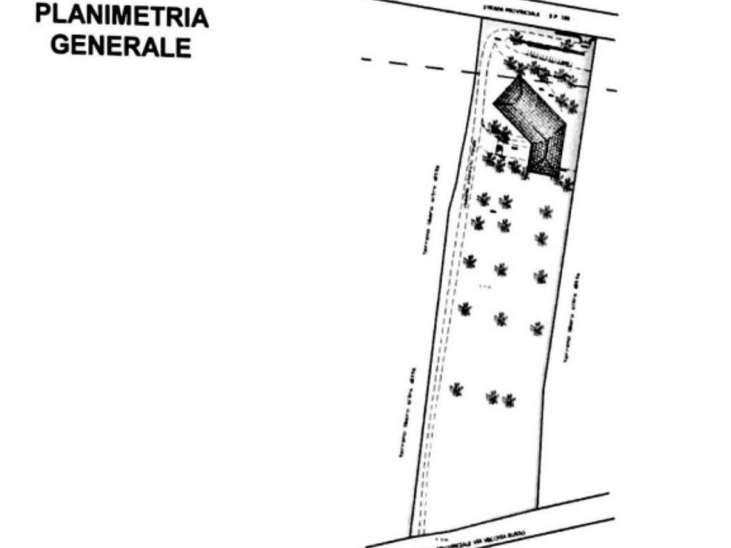 Schizzo casolare