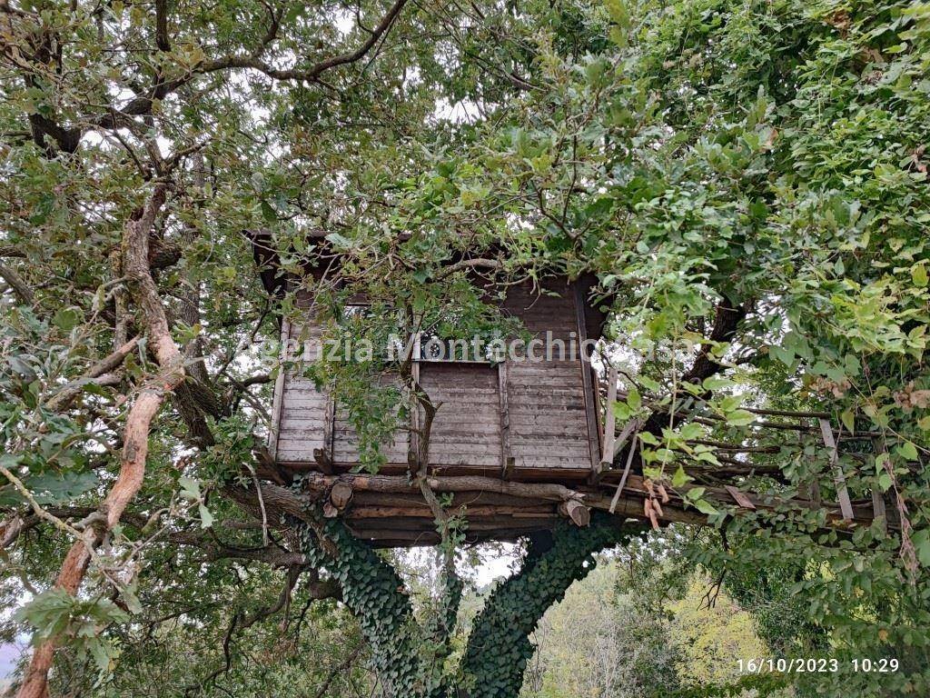 la casetta sull'albero