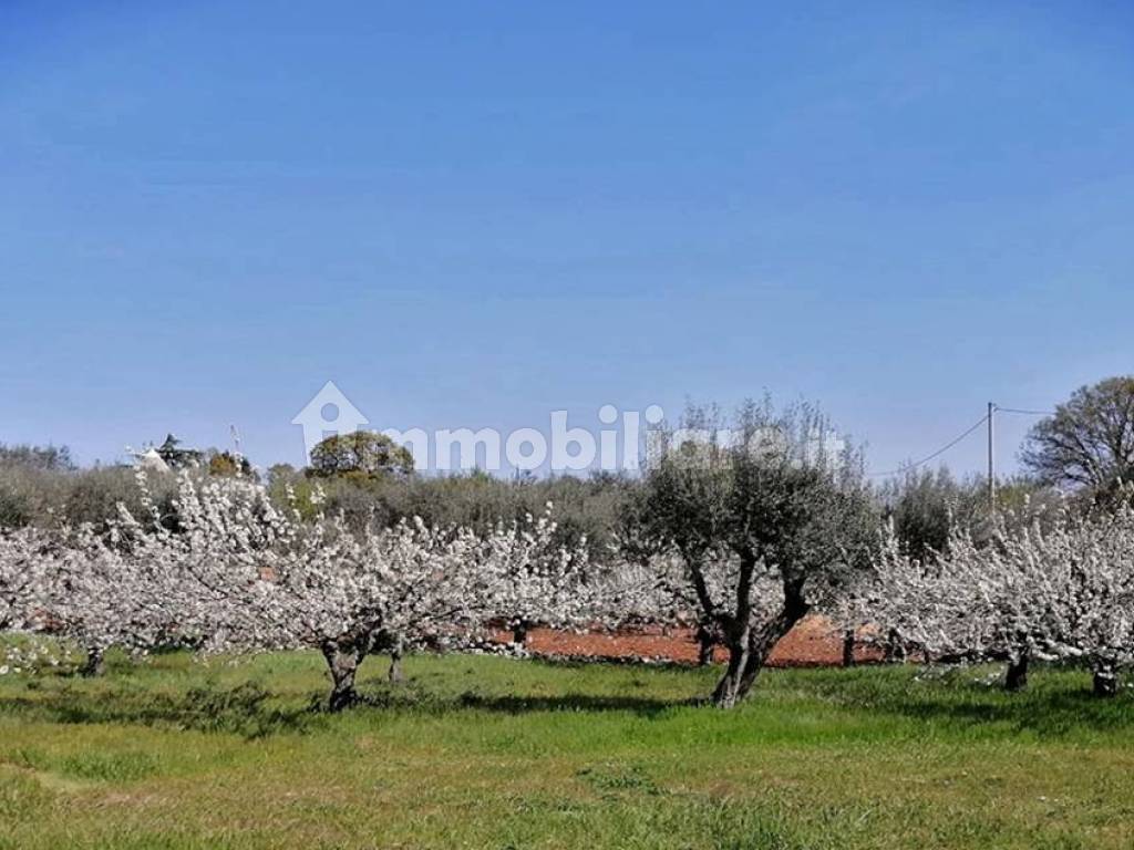 Pregio Immobiliare Monopoli