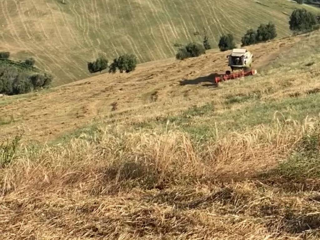 Terreno agricolo frazione vallesenzana 123, ascoli piceno