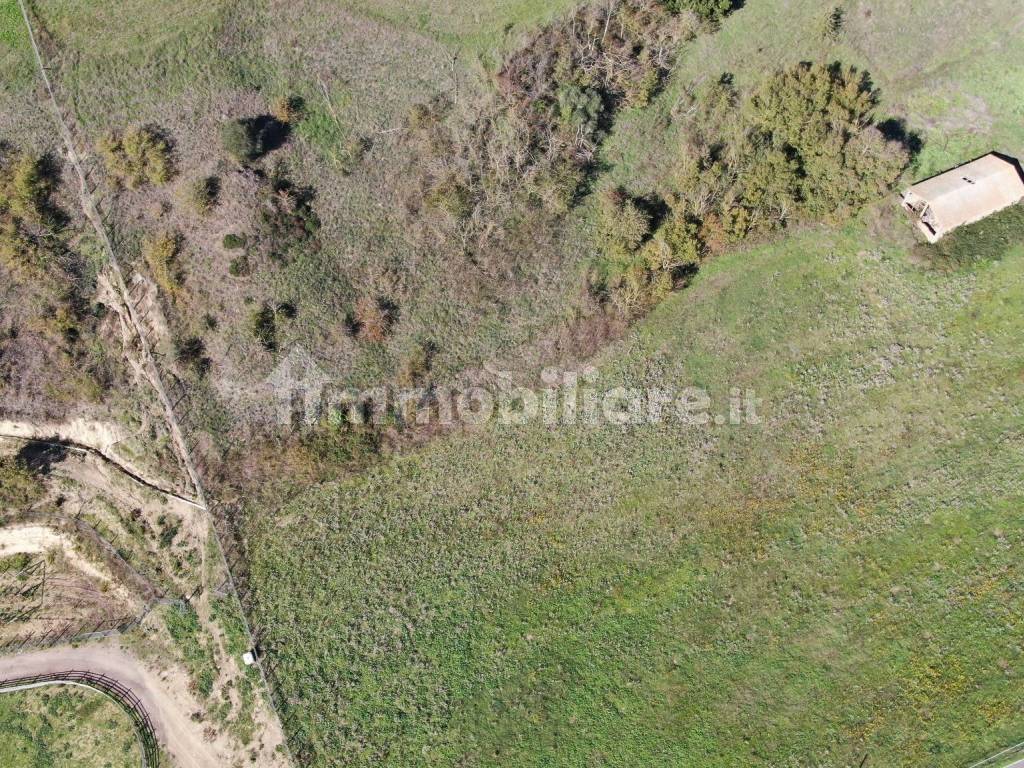 Terreno agricolo via Onorato Occioni, Fiumicino, rif. 75693822