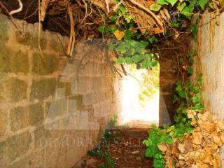 corridoio per giardino