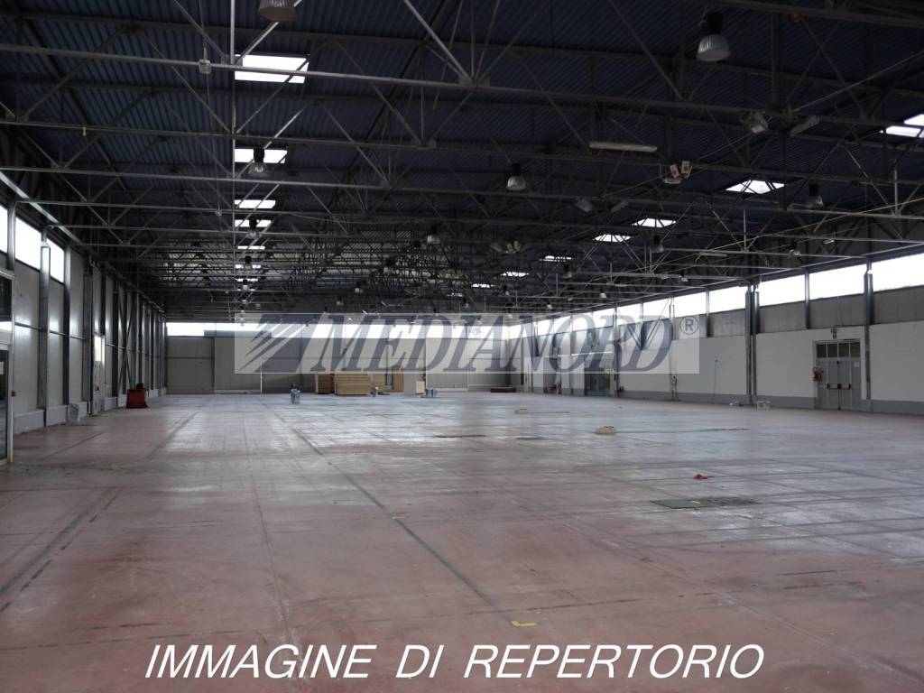 immagini di repertorio