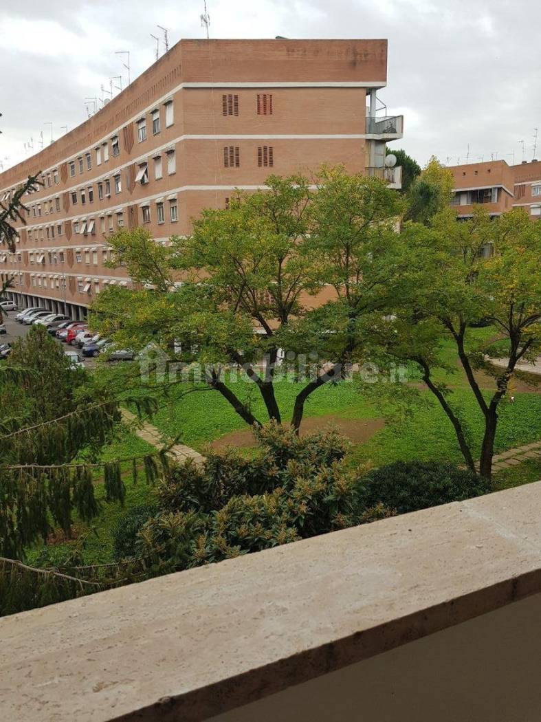 Appartamento in affitto a Roma