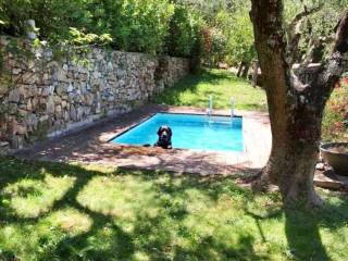 piscina nel giardino