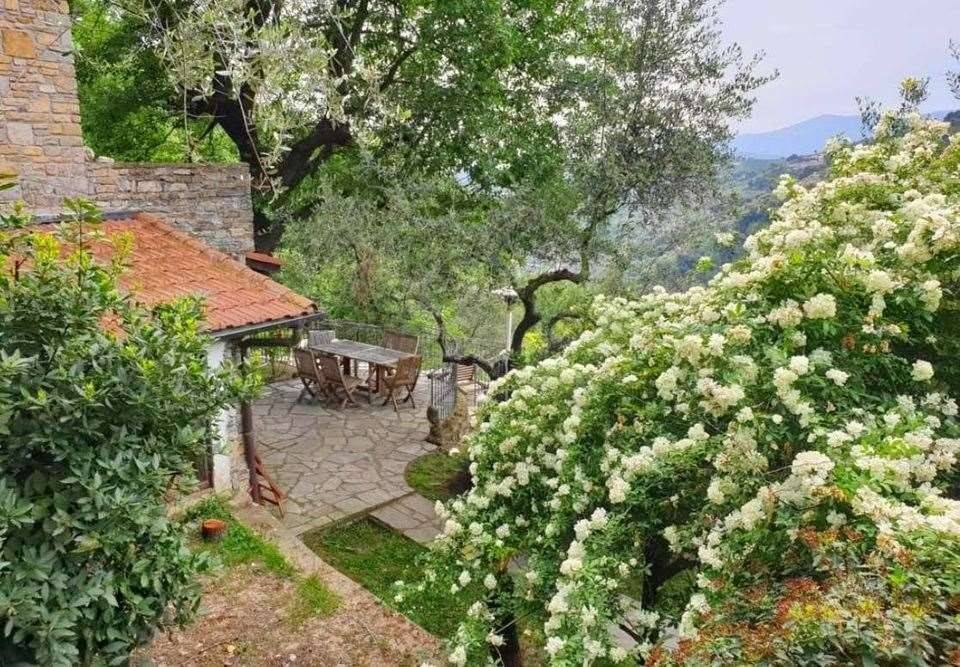 giardino, terrazzi vivibili