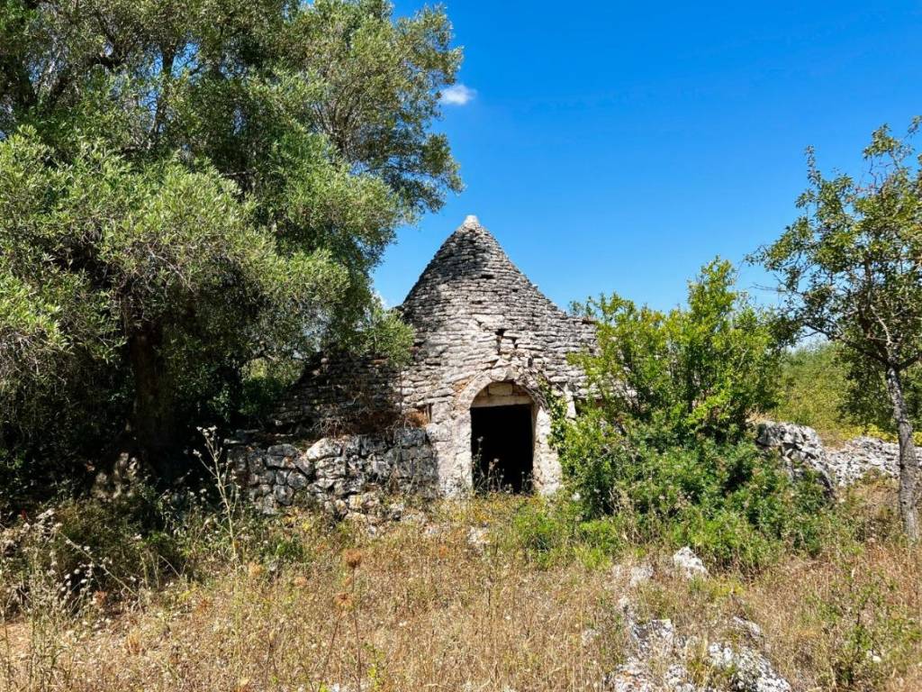 PRIMO TRULLO