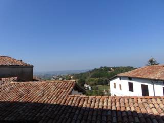 Viste