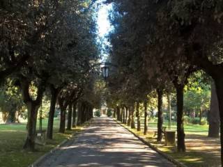 viale ingresso alberato