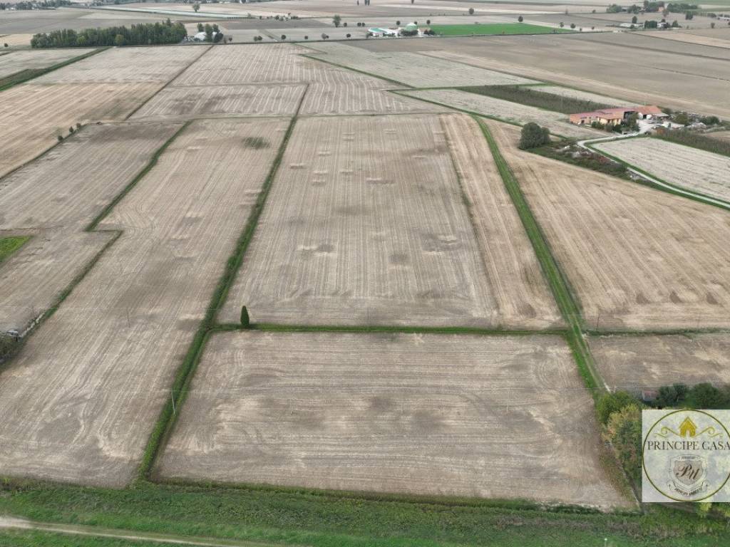 Terreno agricolo barbona, barbona