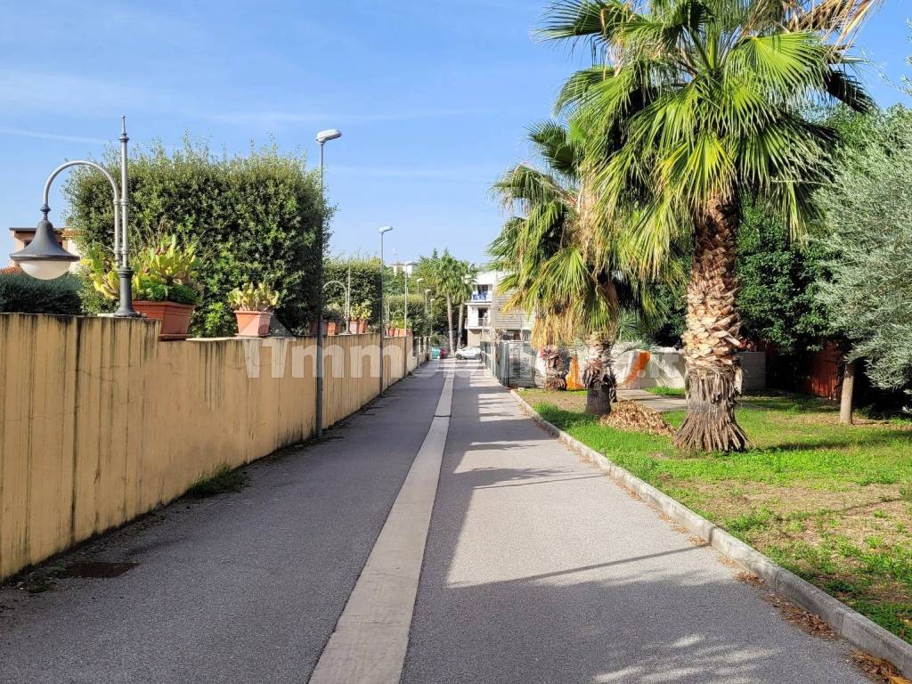 viale di accesso