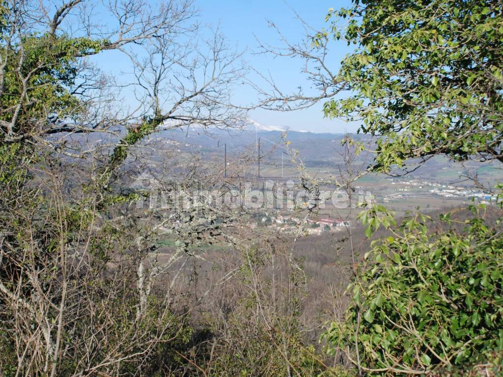 vista dalla collina