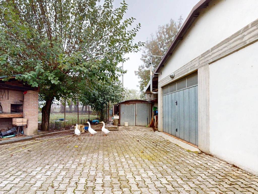 V194-10262023_110153