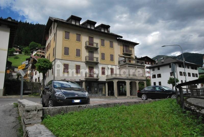 vista frontale casa cadore