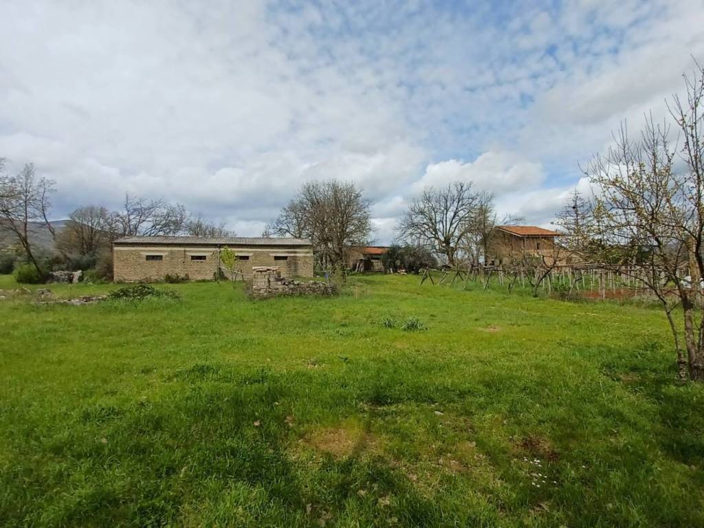 Terreno agricolo via farneti, centro, amaseno