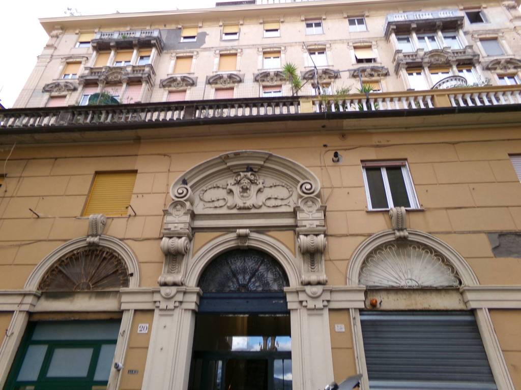 PALAZZO