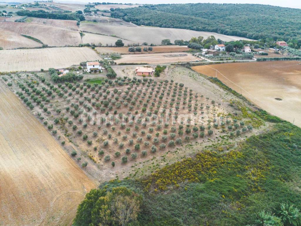 VILLA CON TERRENO