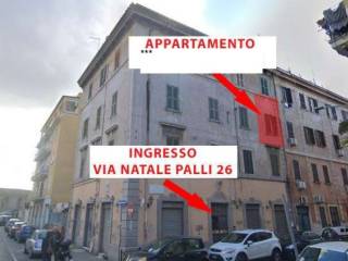 014__appartamento_all_asta_in_via_natale_palli__roma__rm___24.jpg