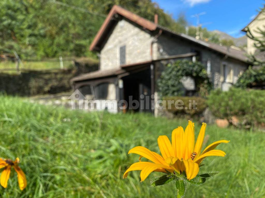 casetta con giardino