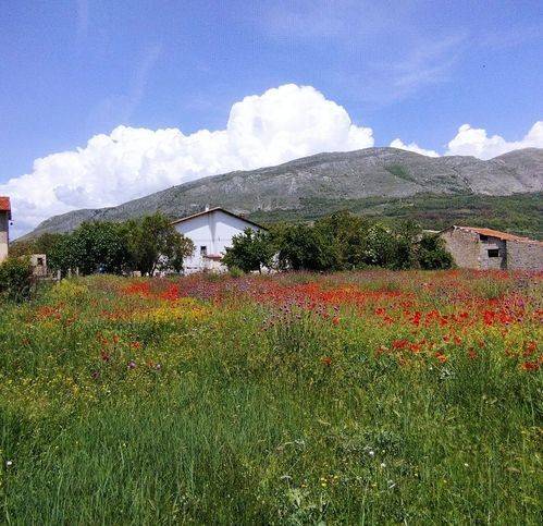 Terreno edificabile via verrazzano, san pelino, avezzano