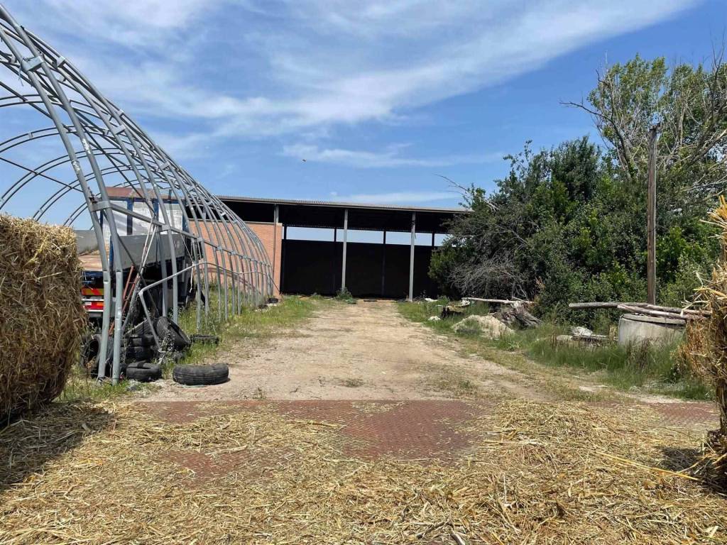 Magazzino - deposito, sala bolognese