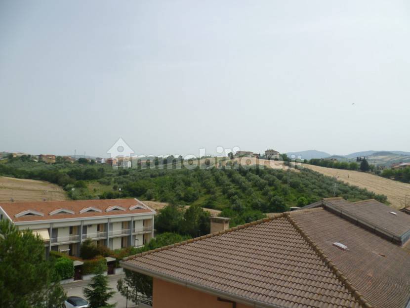 panorama