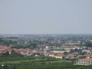 Vista