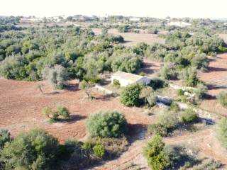 proprieta con piscina naturale a noto 08