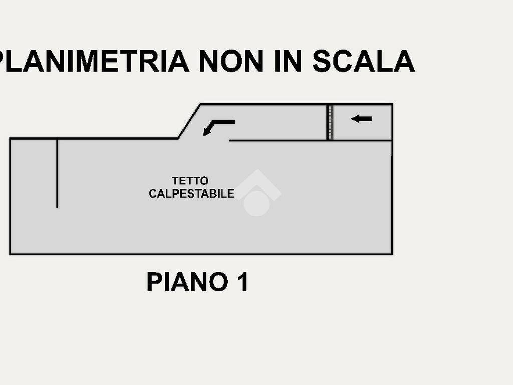 PLANIMETRIA NON IN SCALA (TETTO)