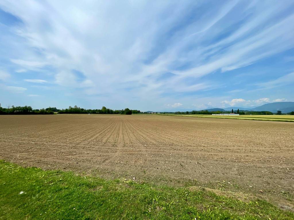 Terreno agricolo via de e torate 14, colloredo di monte albano