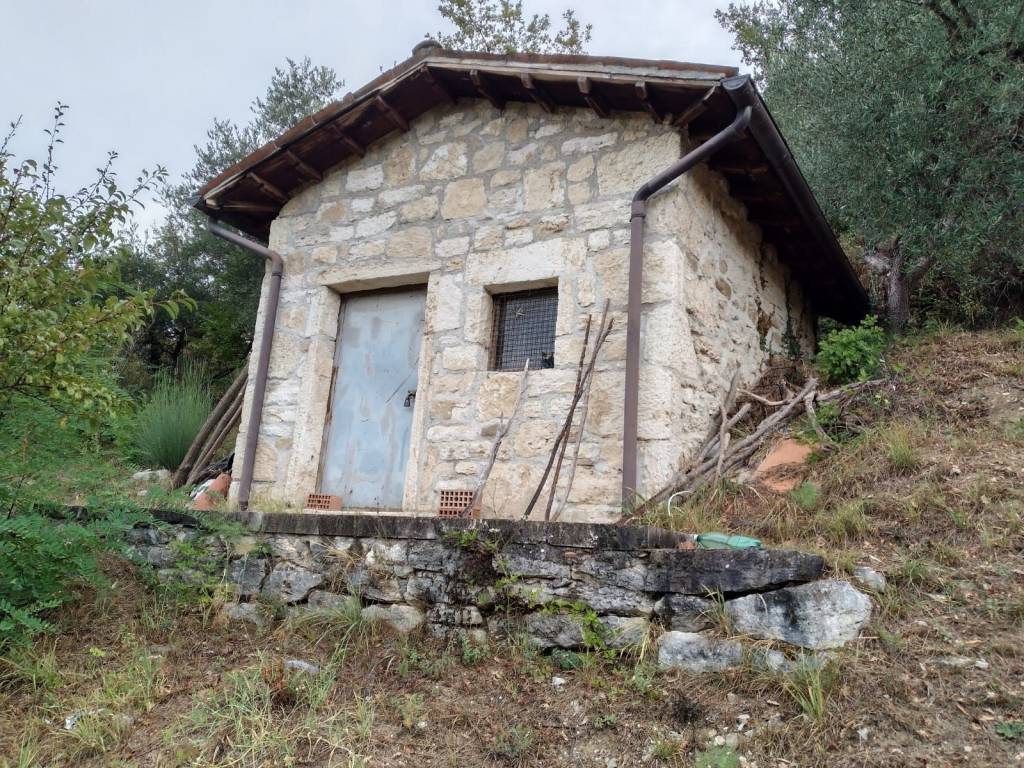 Terreno agricolo frazione santa maria, acquasanta terme