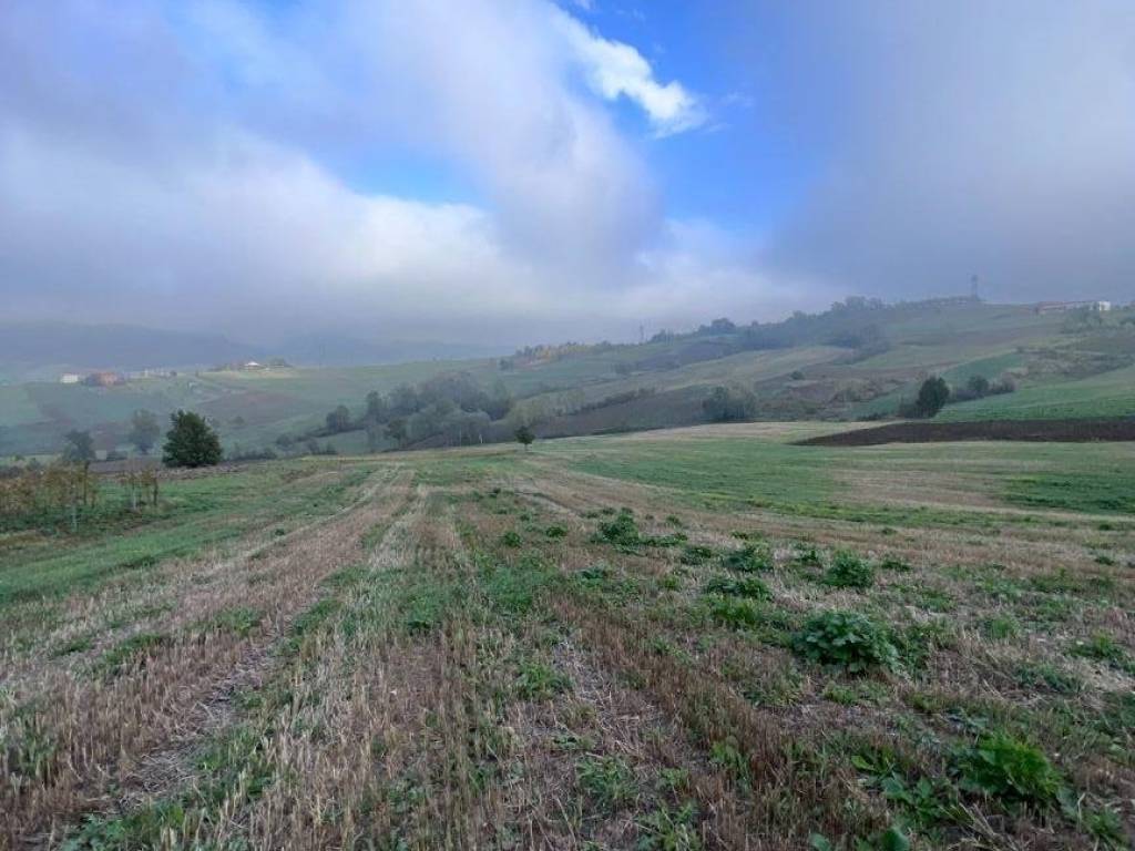 Terreno agricolo strada comunale della frassa, cerreto grue