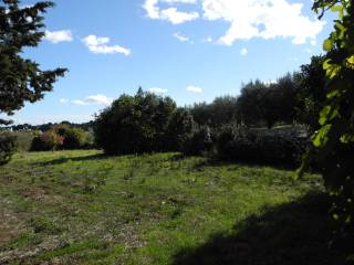 vista sul terreno