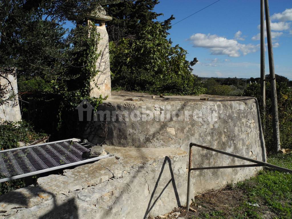 vista posteriore della lamia