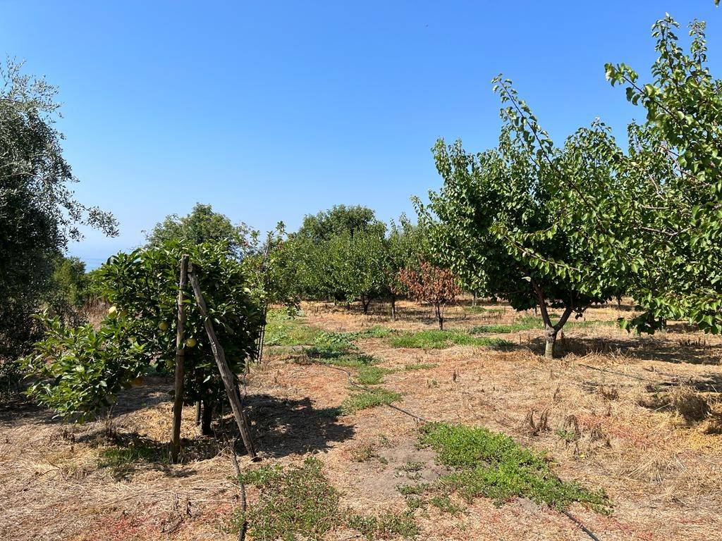 Terreno agricolo via Cecatiello, Ercolano, rif. 107176149 - Immobiliare.it
